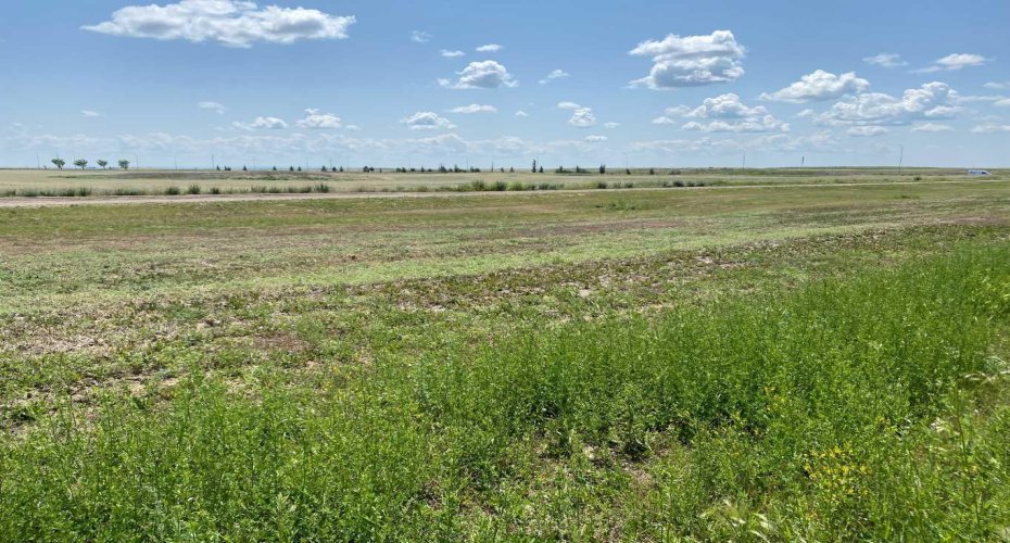 321 Rivergrove Chase, Lethbridge, Alberta T1K 8E8, ,Land,For Sale,Rivergrove,A2233541