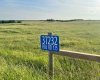 37232 RR135, Rural Paintearth No. 18, County of, Alberta T0B 0X0, ,Land,For Sale,RR135,A2233581