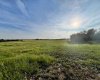 37232 RR135, Rural Paintearth No. 18, County of, Alberta T0B 0X0, ,Land,For Sale,RR135,A2233581