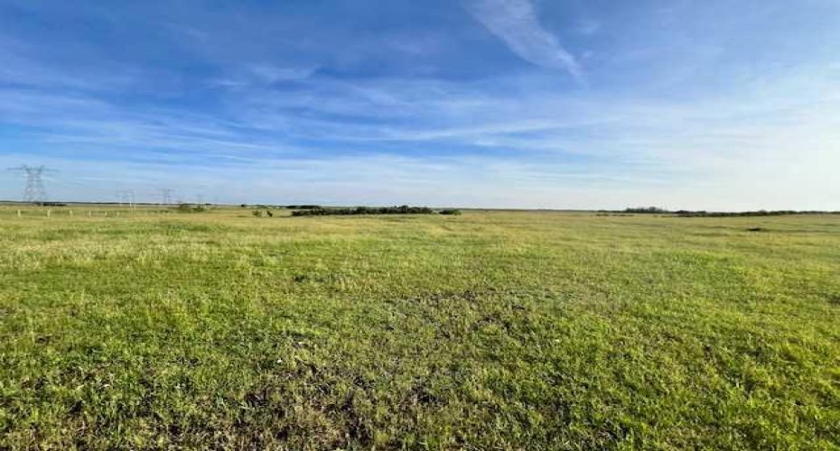 37232 RR135, Rural Paintearth No. 18, County of, Alberta T0B 0X0, ,Land,For Sale,RR135,A2233581