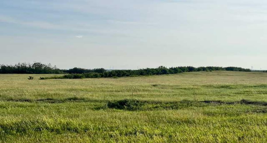 37232 RR135, Rural Paintearth No. 18, County of, Alberta T0B 0X0, ,Land,For Sale,RR135,A2233581