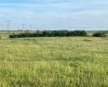 37232 RR135, Rural Paintearth No. 18, County of, Alberta T0B 0X0, ,Land,For Sale,RR135,A2233581