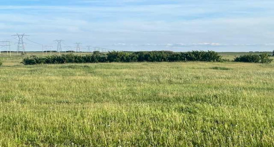 37232 RR135, Rural Paintearth No. 18, County of, Alberta T0B 0X0, ,Land,For Sale,RR135,A2233581