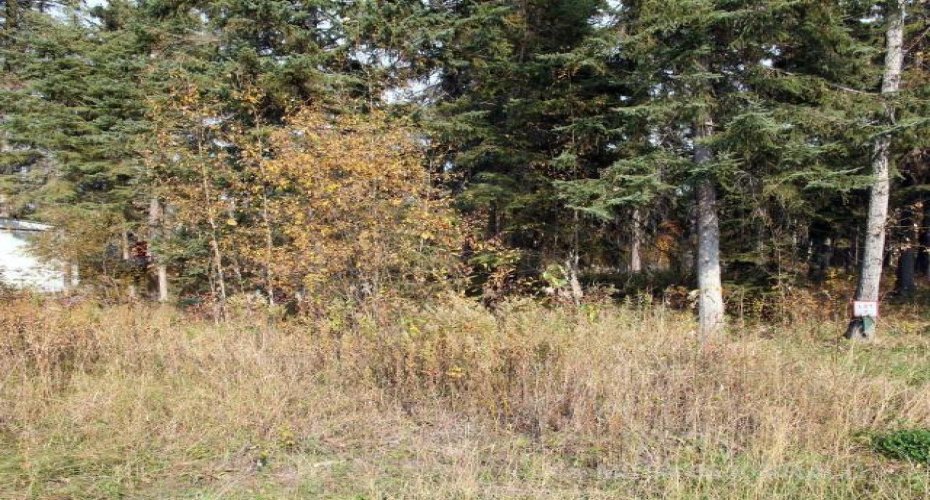 Lot 7 WILLOW Bay, Brightsand Lake, Saskatchewan S0M 0H0, ,Land,For Sale,WILLOW,A2233691