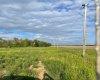 109535 Rg Rd 165, Rural Mackenzie County, Alberta T0H 1Z0, ,Land,For Sale,109535 Rg Rd 165,A2234277