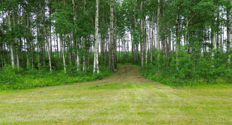 42 Prosser Drive, Branch Lake, Saskatchewan S0M 1L0, ,Land,For Sale,Prosser,A2234632