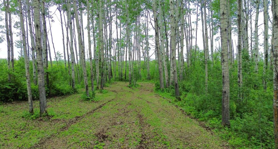 42 Prosser Drive, Branch Lake, Saskatchewan S0M 1L0, ,Land,For Sale,Prosser,A2234632