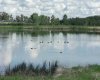 273250 Township Road 250 Road, Rural Rocky View County, Alberta T1Z 0Y5, 0 , 0 ,0,Agri-business,For Sale,Township Road 250,0,A2235183