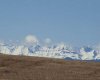 273250 Township Road 250 Road, Rural Rocky View County, Alberta T1Z 0Y5, 0 , 0 ,0,Agri-business,For Sale,Township Road 250,0,A2235183