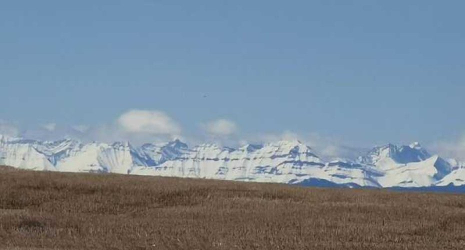 273250 Township Road 250 Road, Rural Rocky View County, Alberta T1Z 0Y5, 0 , 0 ,0,Agri-business,For Sale,Township Road 250,0,A2235183