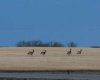 273250 Township Road 250 Road, Rural Rocky View County, Alberta T1Z 0Y5, 0 , 0 ,0,Agri-business,For Sale,Township Road 250,0,A2235183
