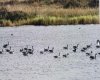 273250 Township Road 250 Road, Rural Rocky View County, Alberta T1Z 0Y5, 0 , 0 ,0,Agri-business,For Sale,Township Road 250,0,A2235183