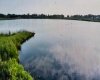 273250 Township Road 250 Road, Rural Rocky View County, Alberta T1Z 0Y5, 0 , 0 ,0,Agri-business,For Sale,Township Road 250,0,A2235183