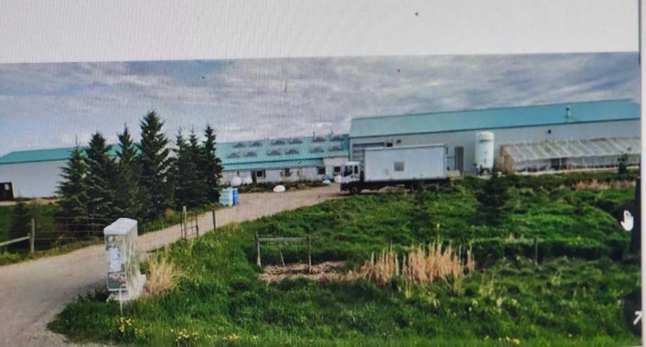 273250 Township Road 250 Road, Rural Rocky View County, Alberta T1Z 0Y5, 0 , 0 ,0,Agri-business,For Sale,Township Road 250,0,A2235183