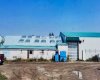 273250 Township Road 250 Road, Rural Rocky View County, Alberta T1Z 0Y5, 0 , 0 ,0,Agri-business,For Sale,Township Road 250,0,A2235183