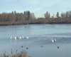 273250 Township Road 250 Road, Rural Rocky View County, Alberta T1Z 0Y5, 0 , 0 ,0,Agri-business,For Sale,Township Road 250,0,A2235183