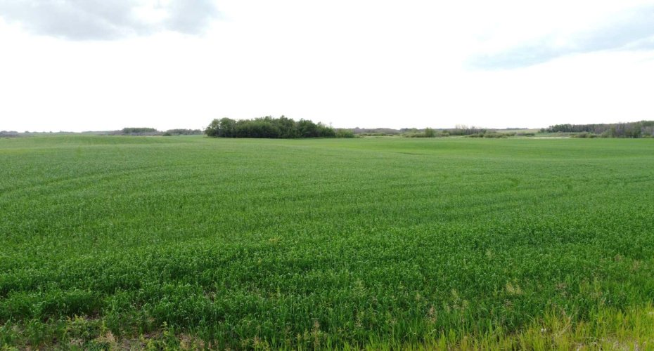 163 Range, Rural Beaver County, Alberta T0B 0H8, ,Land,For Sale,163,A2235205