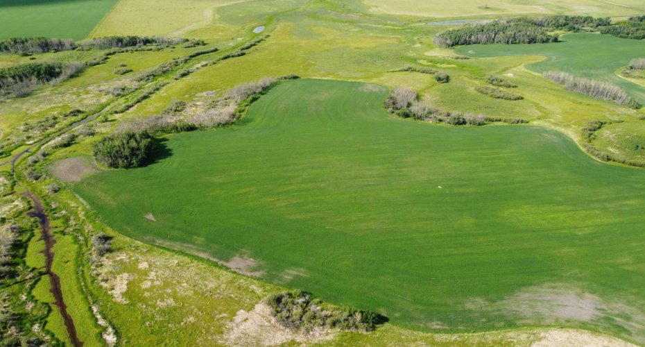 163 Range, Rural Beaver County, Alberta T0B 0H8, ,Land,For Sale,163,A2235205