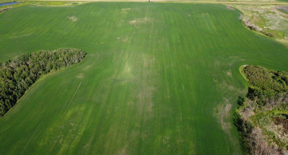 163 Range, Rural Beaver County, Alberta T0B 0H8, ,Land,For Sale,163,A2235205