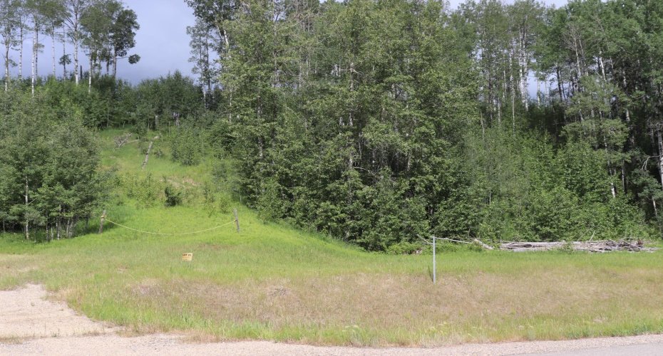 16511 Township Road 532A #23, Rural Yellowhead County, Alberta T7E 3A6, ,Land,For Sale,Township Road 532A #23,A1128554