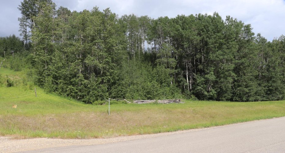 16511 Township Road 532A #23, Rural Yellowhead County, Alberta T7E 3A6, ,Land,For Sale,Township Road 532A #23,A1128554