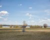 12044 Township Road 422, Rural Ponoka County, Alberta T0C 2J0, 0 , 0 ,0,Land,For Sale,Township Road 422,0,A2234962