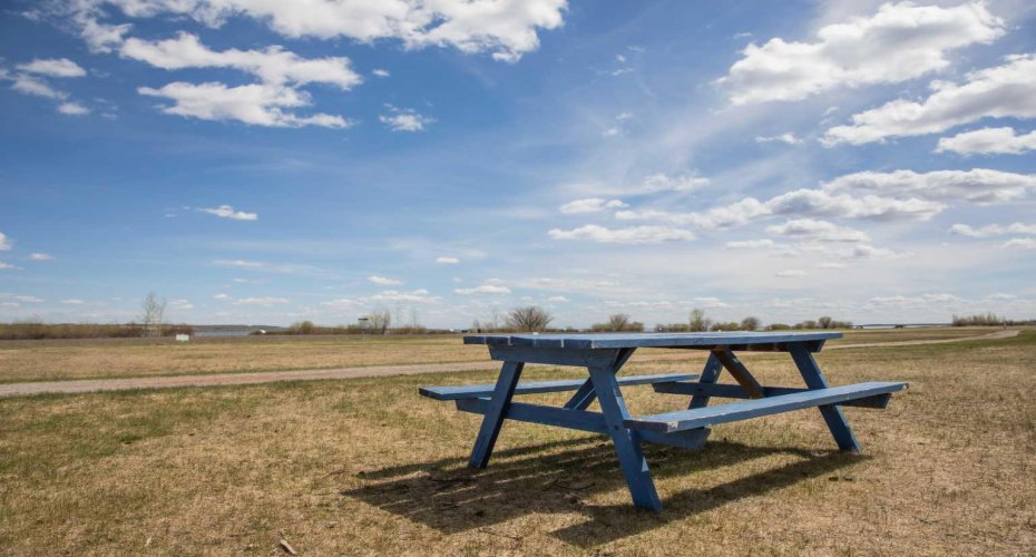 12044 Township Road 422, Rural Ponoka County, Alberta T0C 2J0, 0 , 0 ,0,Land,For Sale,Township Road 422,0,A2234962