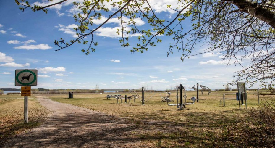 12044 Township Road 422, Rural Ponoka County, Alberta T0C 2J0, 0 , 0 ,0,Land,For Sale,Township Road 422,0,A2234962