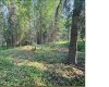 221054 670 Township, Rural Athabasca County, Alberta T9S 2B5, ,Land,For Sale,670,A2234230