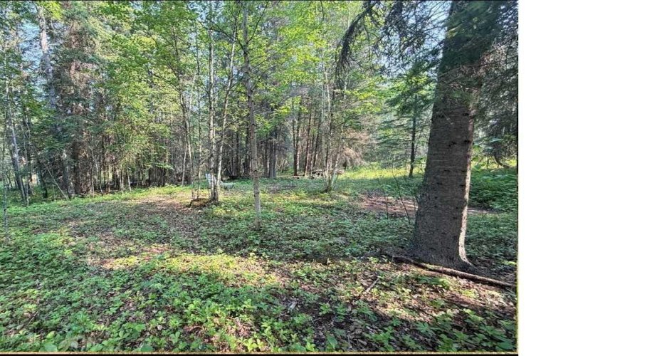 221054 670 Township, Rural Athabasca County, Alberta T9S 2B5, ,Land,For Sale,670,A2234230