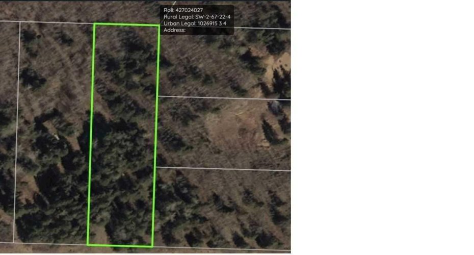 221054 670 Township, Rural Athabasca County, Alberta T9S 2B5, ,Land,For Sale,670,A2234230