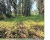 221054 670 Township, Rural Athabasca County, Alberta T9S 2B5, ,Land,For Sale,670,A2234230
