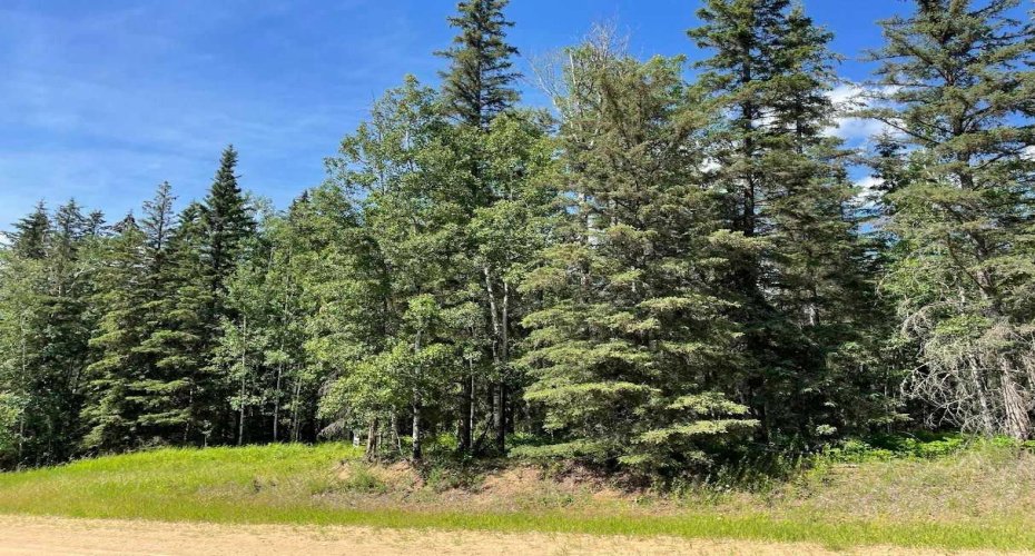221054 670 Township, Rural Athabasca County, Alberta T9S 2B5, ,Land,For Sale,670,A2234230