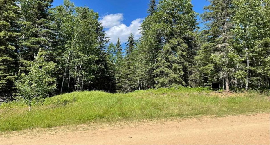 221054 670 Township, Rural Athabasca County, Alberta T9S 2B5, ,Land,For Sale,670,A2234230