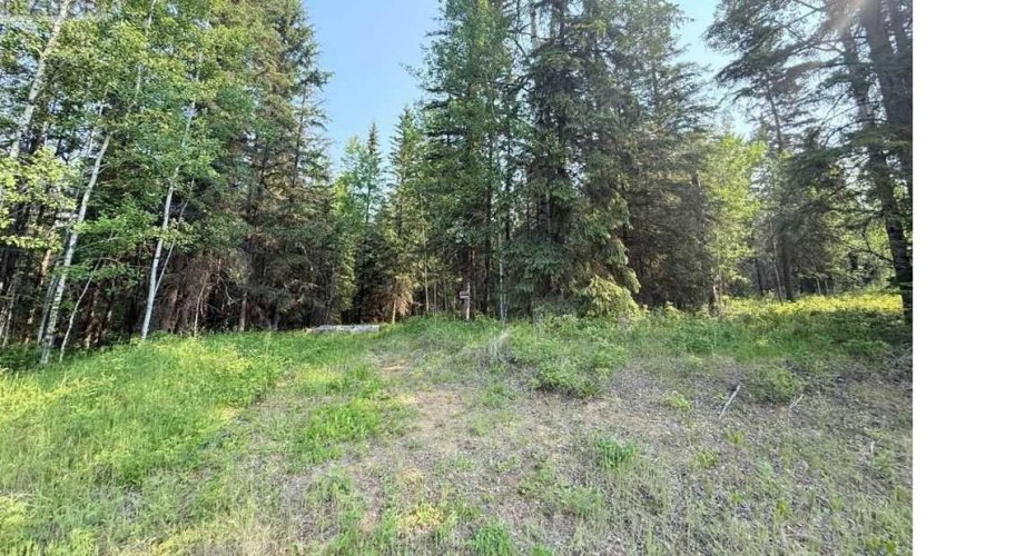 221054 670 Township, Rural Athabasca County, Alberta T9S 2B5, ,Land,For Sale,670,A2234230