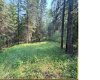 221054 670 Township, Rural Athabasca County, Alberta T9S 2B5, ,Land,For Sale,670,A2234230
