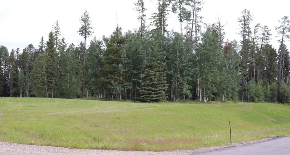 16511 Township Road 532A Subdivision, Rural Yellowhead County, Alberta T7E 3A6, ,Land,For Sale,Township Road 532A,A1128566