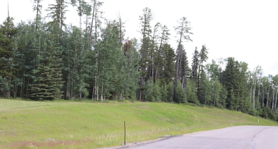16511 Township Road 532A Subdivision, Rural Yellowhead County, Alberta T7E 3A6, ,Land,For Sale,Township Road 532A,A1128566