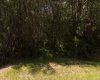 Westview Drive, Athabasca, Alberta T0G0R0, ,Land,For Sale,Drive,A2235635