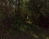 Westview Drive, Athabasca, Alberta T0G0R0, ,Land,For Sale,Drive,A2235635