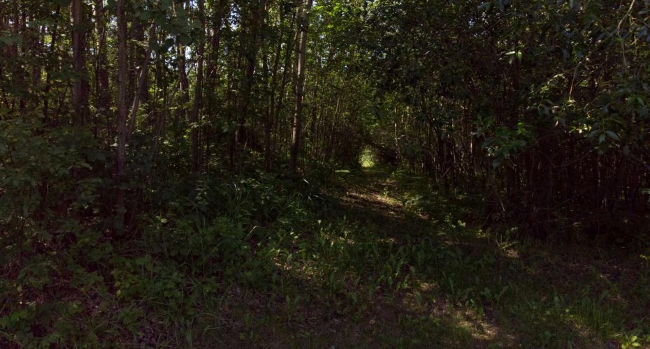 Westview Drive, Athabasca, Alberta T0G0R0, ,Land,For Sale,Drive,A2235635