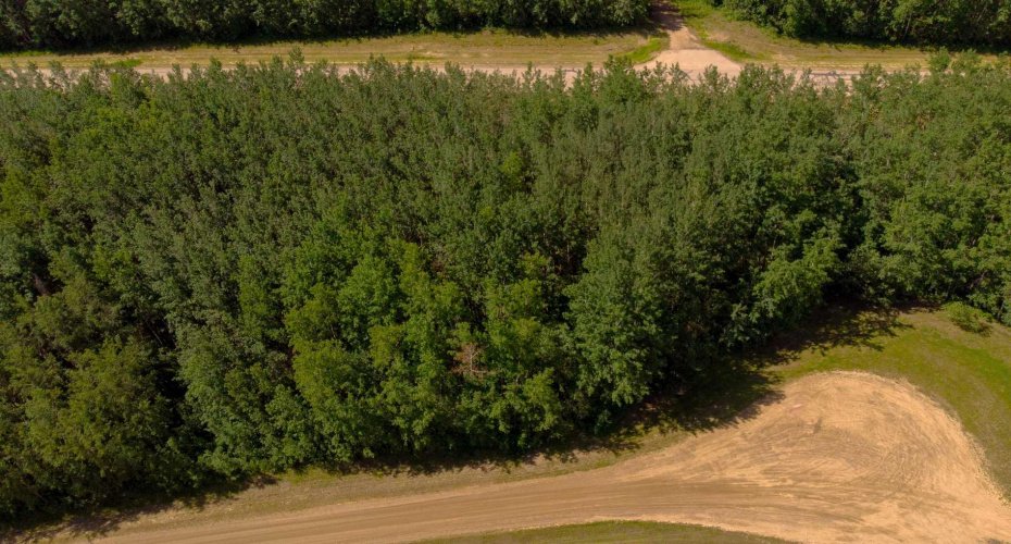 Westview Drive, Athabasca, Alberta T0G0R0, ,Land,For Sale,Drive,A2235635