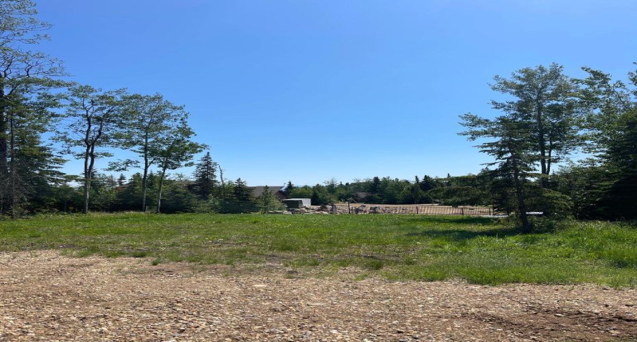 152 Boreal Road, Rural Big Lakes County, Alberta T0G 1C0, ,Land,For Sale,Boreal,A2237049