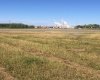 view of pulp mill