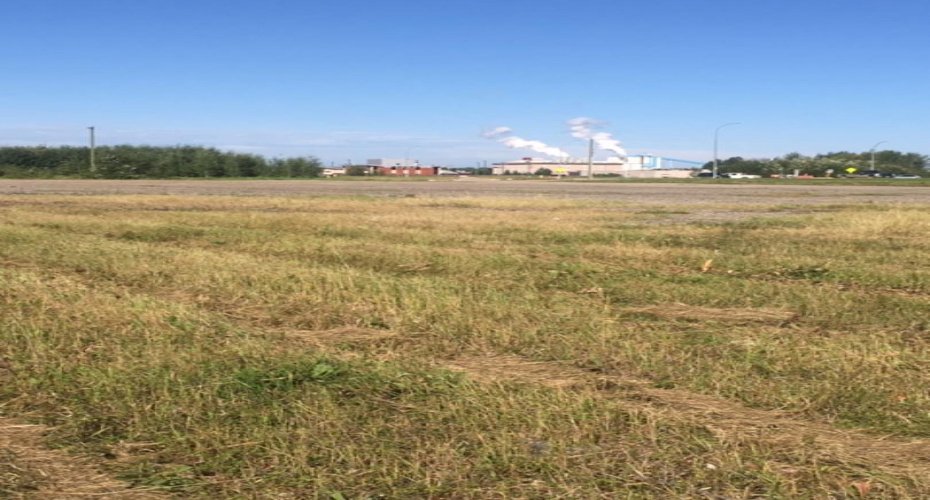 view of pulp mill
