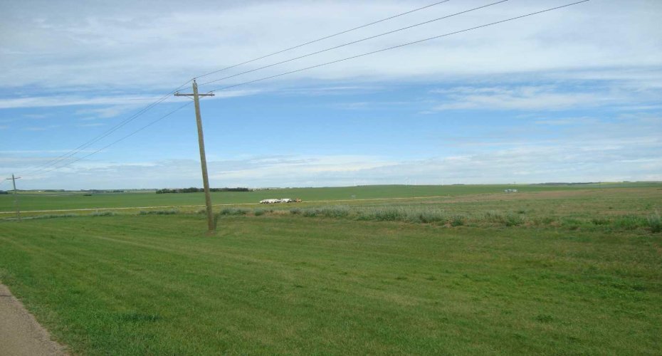 1000 North Road, Trochu, Alberta T0M 2C0, ,Land,For Sale,North,A2238316