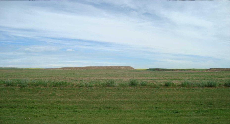 1000 North Road, Trochu, Alberta T0M 2C0, ,Land,For Sale,North,A2238316