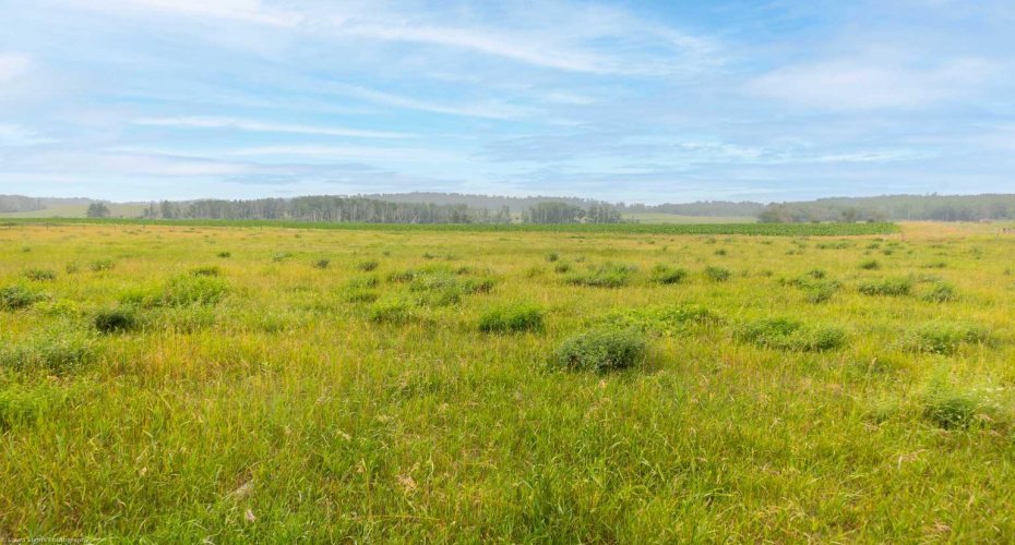 PT NW & NE 1-54-2-4, S 1/2 1-54-2-4, NW 6-54-1, Rural Vermilion River, County of, Alberta T0B 2X0, ,Agri-business,For Sale,PT NW & NE 1-54-2-4, S 1/2 1-54-2-4, NW 6-54-1,A2238520