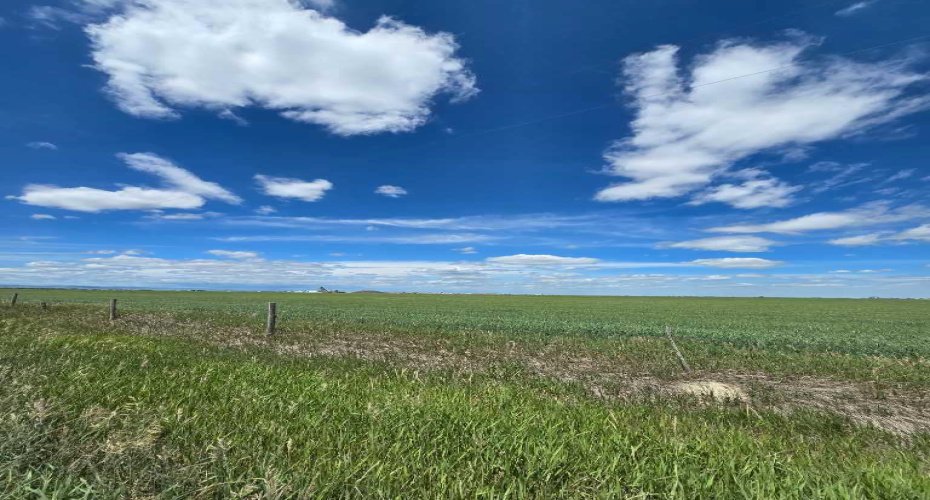 Lot on Township Road 90, Fort Macleod, Alberta T0L0Z0, ,Land,For Sale,Township Road 90,A2238723