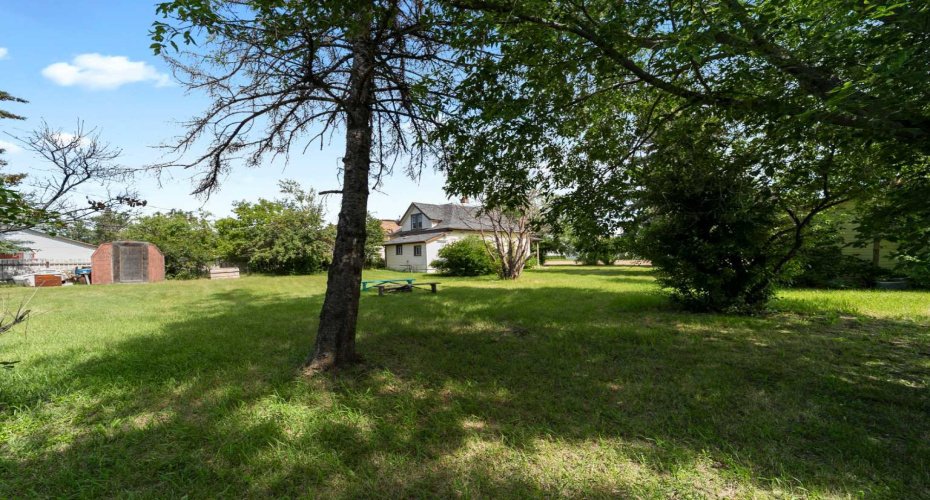 4928 51 Street, Hardisty, Alberta T0B1V0, 4 Bedrooms Bedrooms, ,1 BathroomBathrooms,Residential,For Sale,51,A2238869